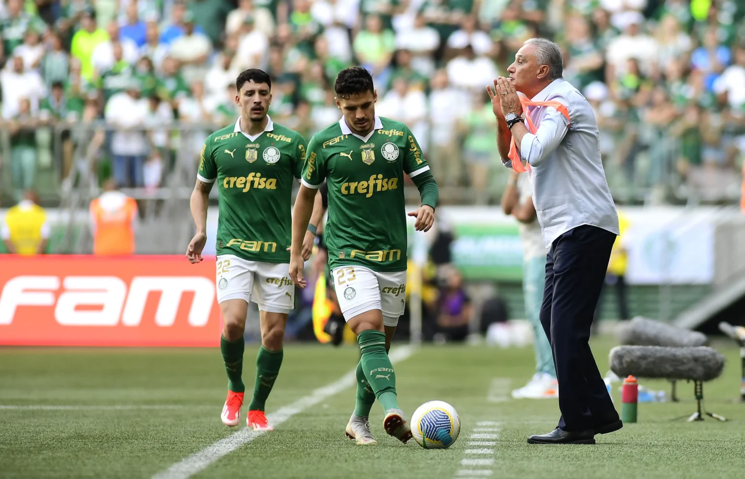 Palmeiras identifica torcedor que cuspiu em Tite do Flamengo e registrará boletim de ocorrência