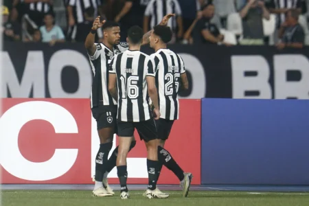 Botafogo mostra garra e determinação para vencer na Libertadores