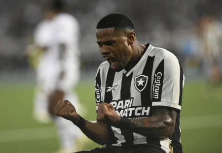 Festa da torcida, contratação de Júnior Santos e polêmica no VAR: a análise da vitória do Botafogo de um novo ângulo