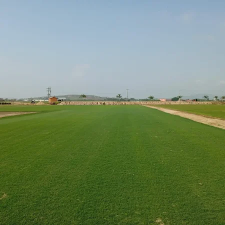 Maracanã contará com quatro campos reservas em fazenda no Rio para trocas semestrais de gramado