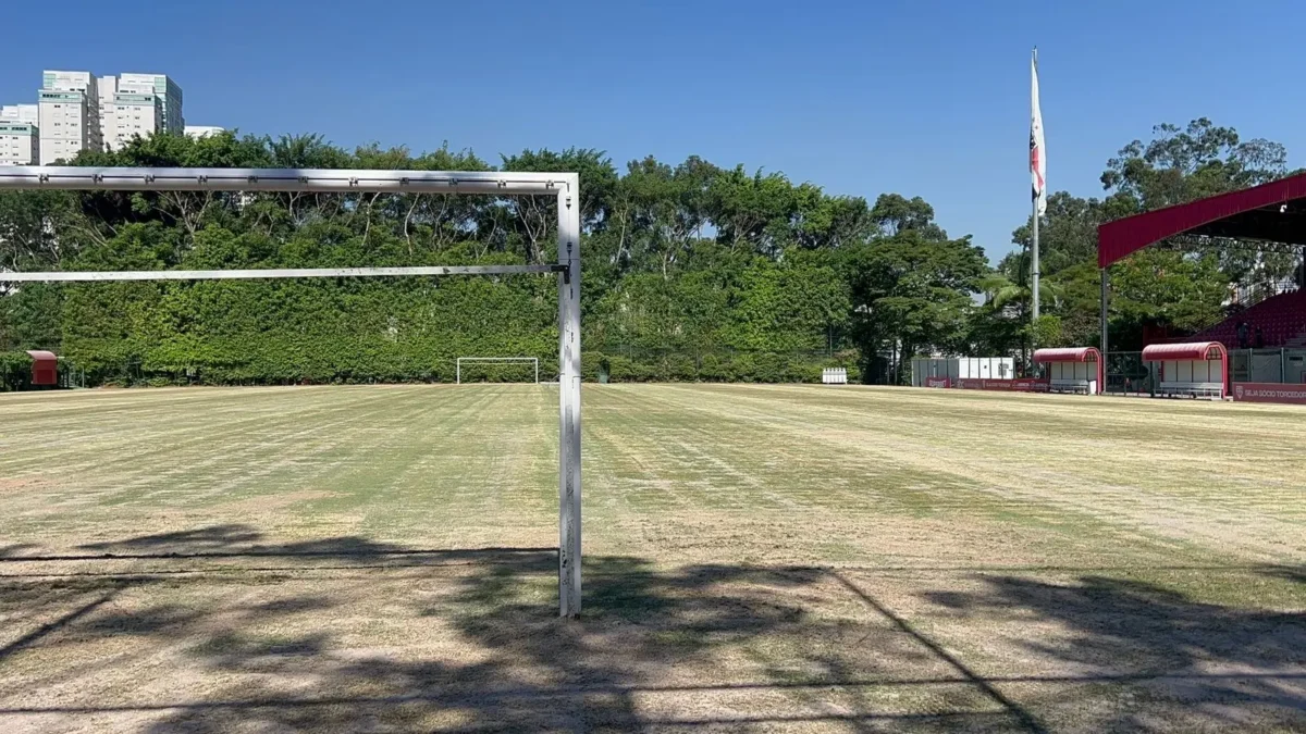 São Paulo começa plantio de grama de inverno em campo do CT em novo projeto de revitalização: confira as imagens