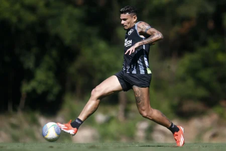 Tiquinho Soares está fora do confronto do Botafogo contra o Grêmio