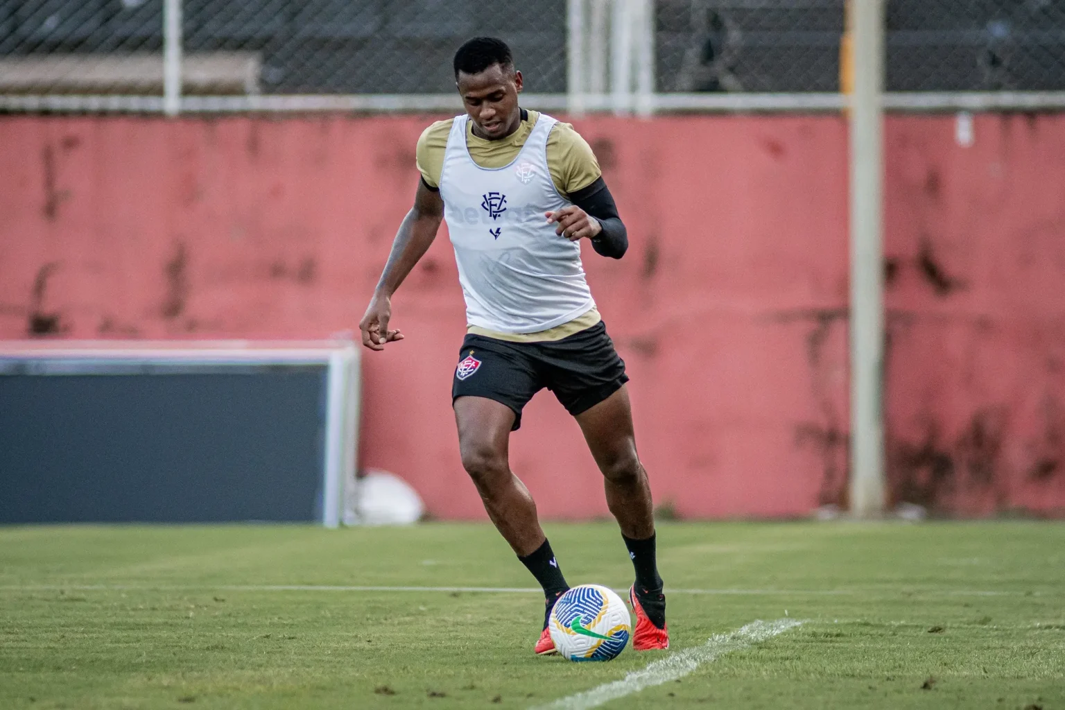 "Carpini Explica Ausência de Dudu em Vitória x Botafogo: 'Não Sou Obrigado a Escalá-lo'"