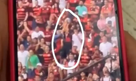 Interferência da torcida do Flamengo no jogo: vídeo mostra torcedor jogando bola no campo