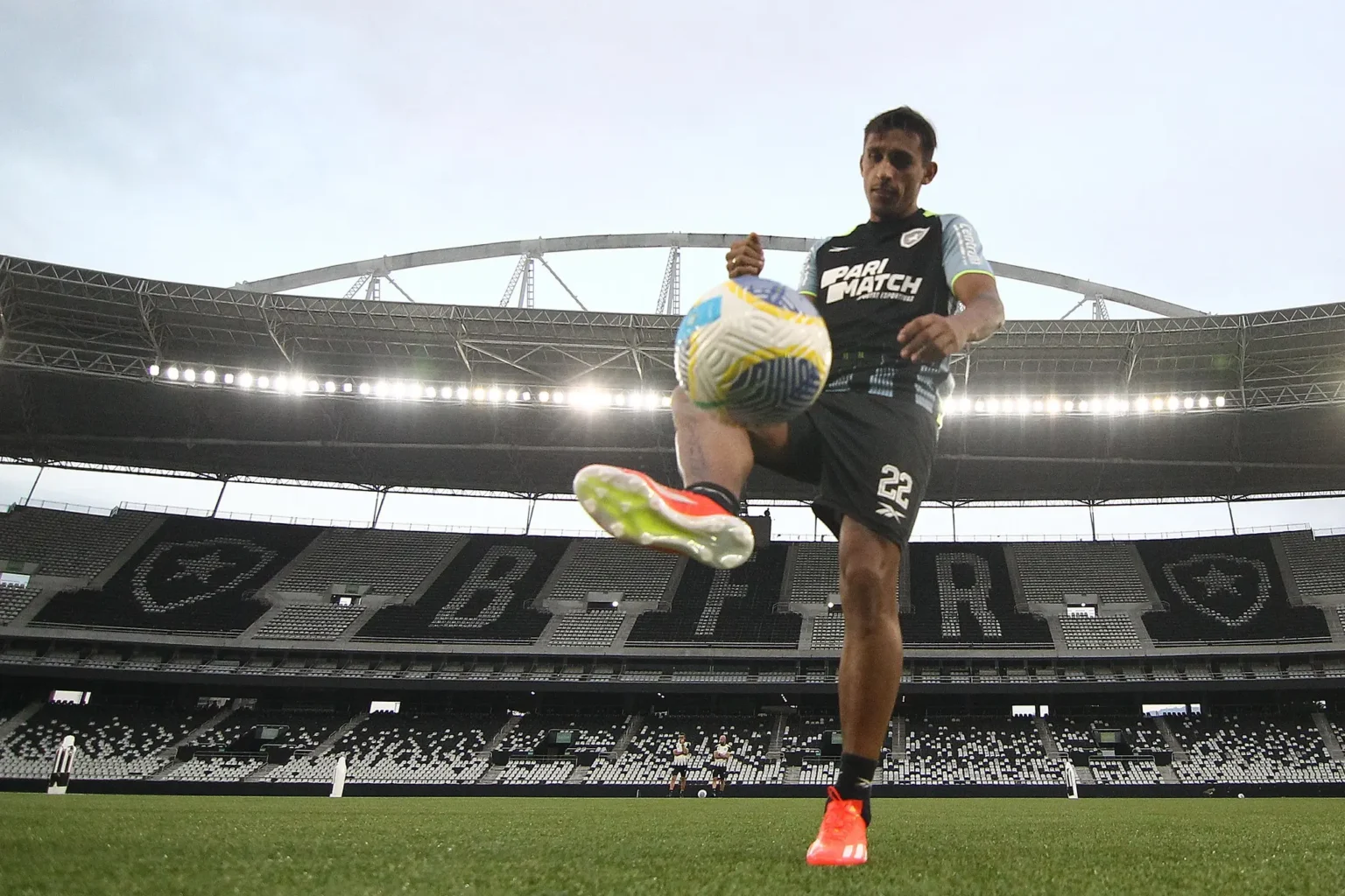 Entenda a Importância do "Grupo Especial" do Botafogo: Jogadores Experientes como Damián