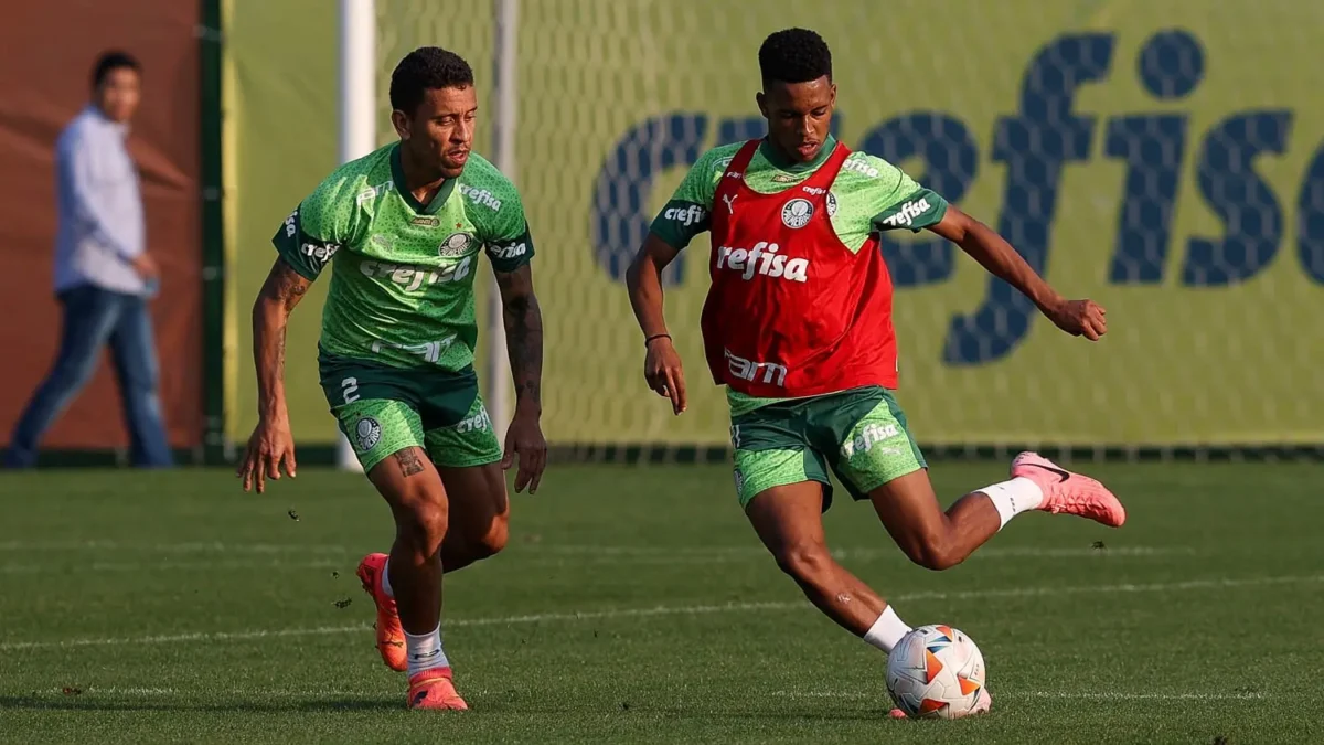 "Palmeiras X Botafogo: Escalação Prevista e Novidades para o Jogo"