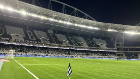 Botafogo pode perder direito de mandar jogos do Brasileiro devido a shows no Estádio Nilton Santos