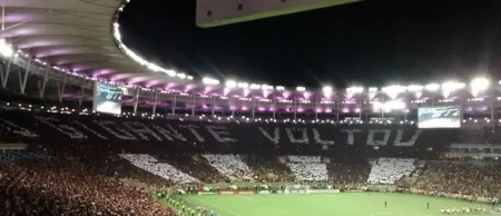 "Botafogo Esgota Ingressos para Jogo Contra Criciúma: Maior Público do Ano em 2024"