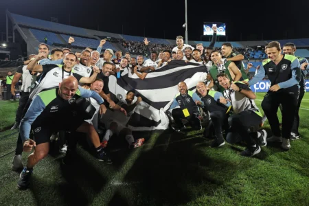 Botafogo x Palmeiras: Data do Jogo não Deve Ser Alterada, Decide a Diretoria