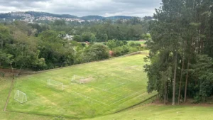 "Tricolor Leva Gramado do Morumbi para CT de Cotia: Saiba Mais"