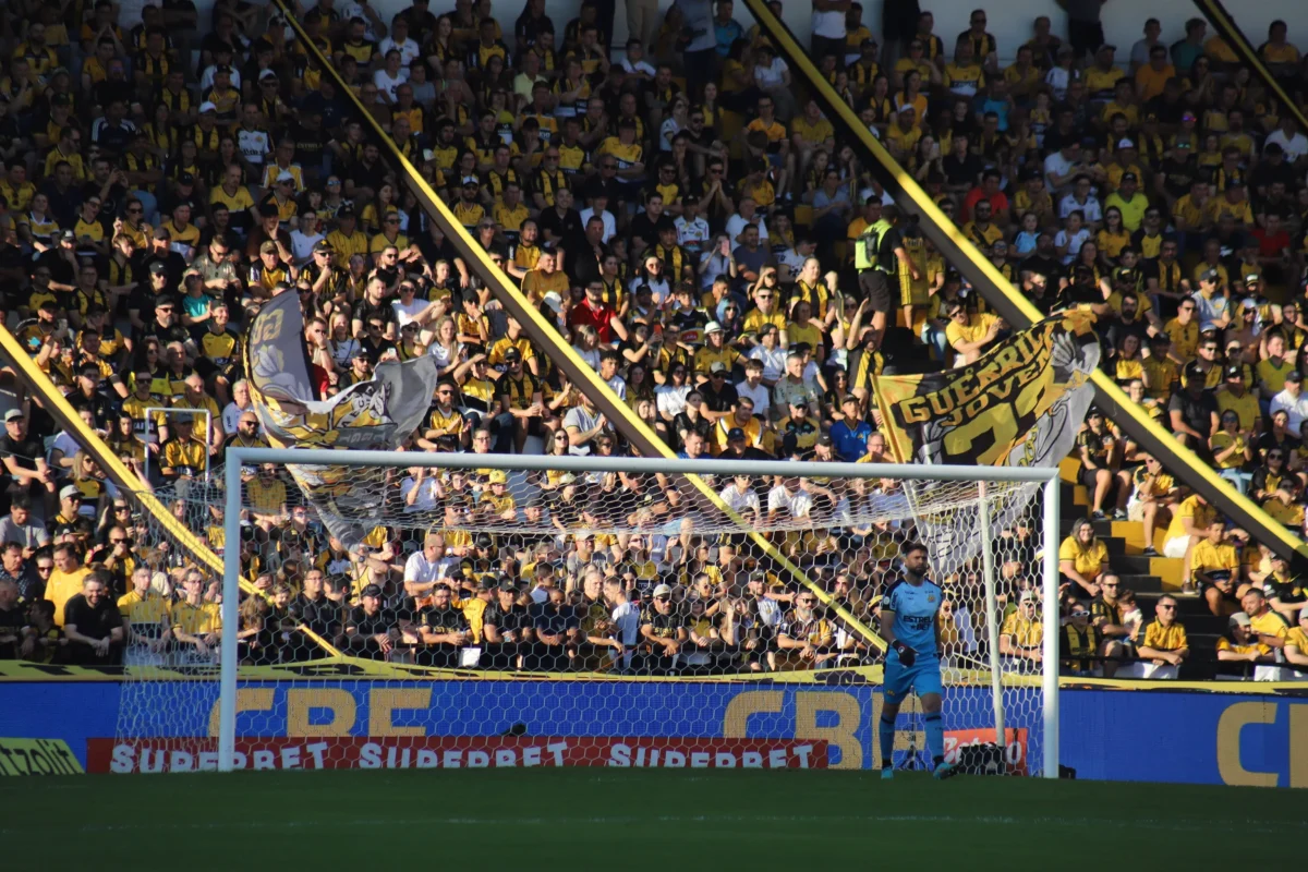 Criciúma Conquista Acesso à Série A: Um Ano de Glória no Futebol Brasileiro