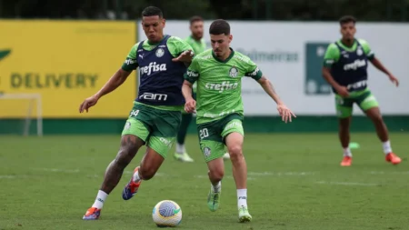 Palmeiras Retorna aos Treinos Após Derrota no Dérbi Paulista e Miram o Confronto Contra o Grêmio