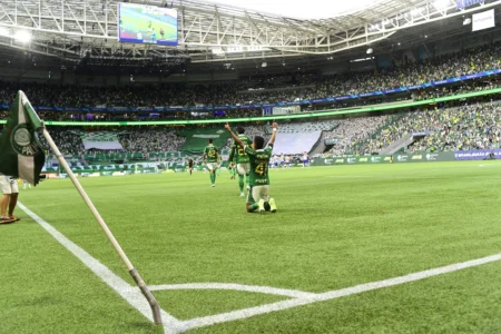 Palmeiras x Botafogo: Setor Gol Norte Adaptado e Preços de Ingressos Revelados