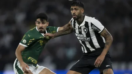 "Previsão do Campeonato Brasileiro: Vidente revela vencedor do confronto entre Palmeiras e Botafogo"