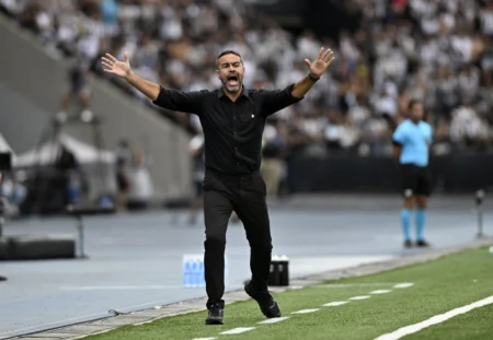 "Botafogo: 2024 - A Temporada 'Extraordinária' do Campeão Brasileiro e da Libertadores"