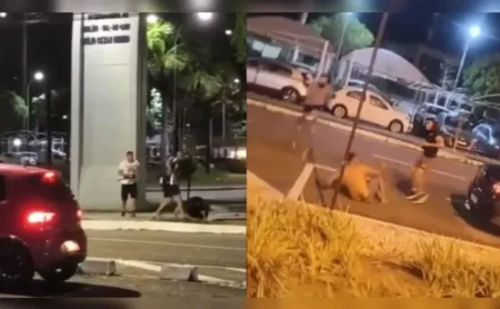 Confusão nos torcidas do Flamengo e do Botafogo antes da Supercopa do Brasil