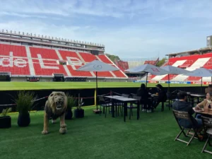 Estudiantes x Botafogo: restaurante no gramado e ingressos esgotados - os bastidores do palco do jogo