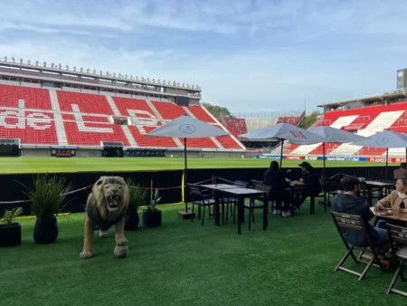 Estudiantes x Botafogo: restaurante no gramado e ingressos esgotados - os bastidores do palco do jogo