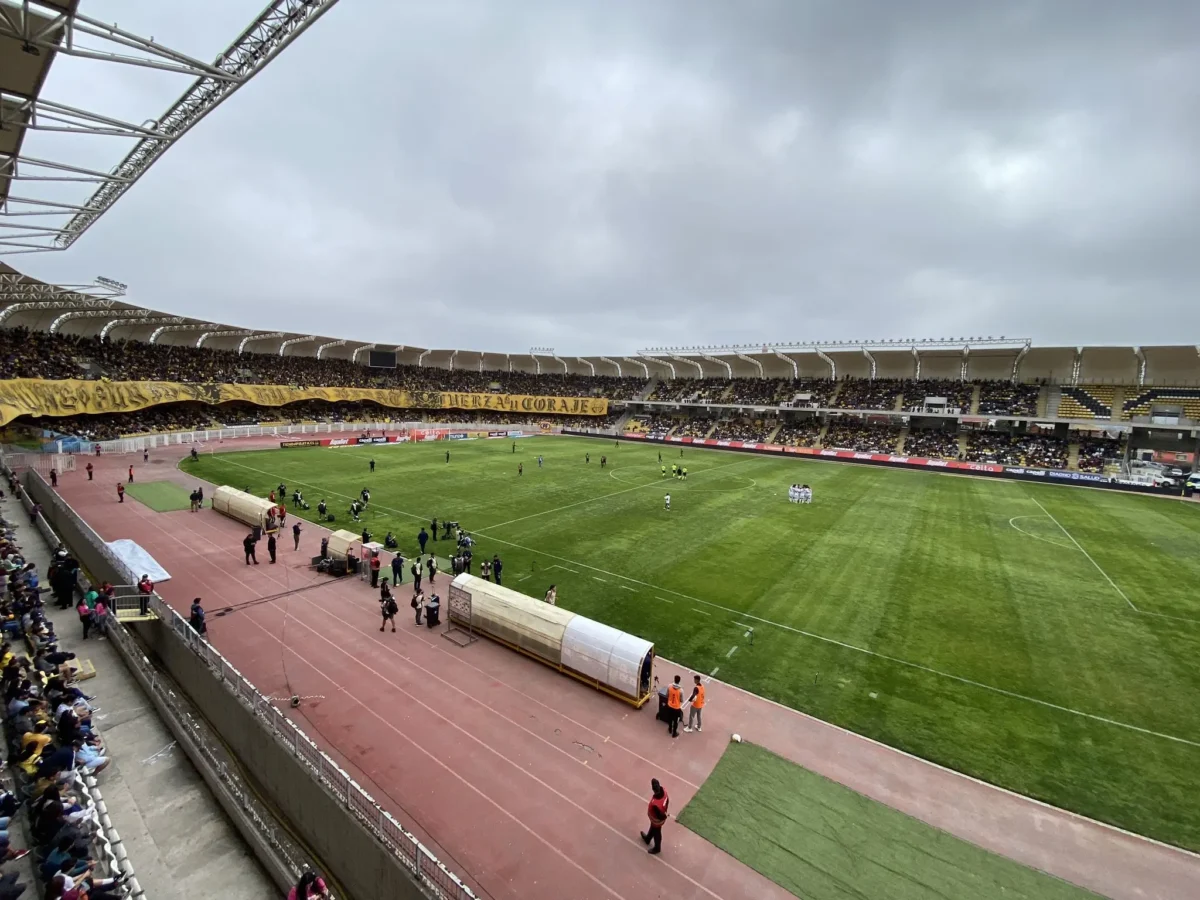 Palestino e Cruzeiro: onde ver, horário e as prováveis escalações