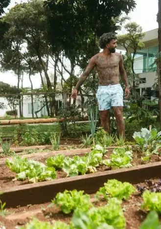 Gabigol no Cruzeiro: Da Horta à Ponte Aérea, a Nova Rotina do Atacante Após o Flamengo
