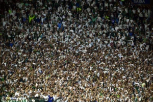 Clássico Palmeiras e São Paulo: Arena Barueri registra recorde de público