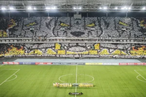 Mosaico e Rua de Fogo: Botafogo cria atmosfera de mata-mata para a Libertadores