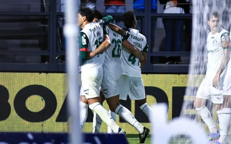 Palmeiras: A força do banco que desafia a subestimação