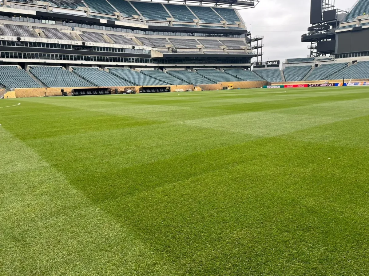 Ajustes no palco de Palmeiras x Botafogo: Allianz Parque recebe melhorias para a Copa.