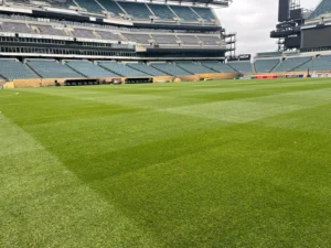 Ajustes no palco de Palmeiras x Botafogo: Allianz Parque recebe melhorias para a Copa.