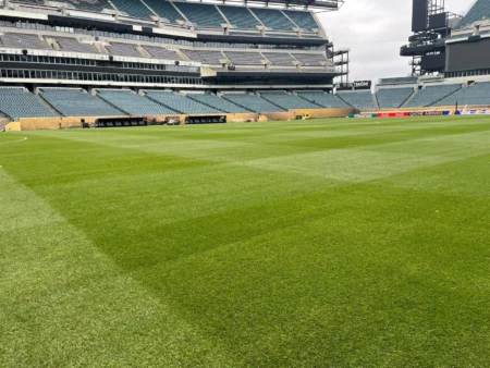 Ajustes no palco de Palmeiras x Botafogo: Allianz Parque recebe melhorias para a Copa.