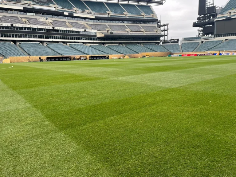Ajustes no palco de Palmeiras x Botafogo: Allianz Parque recebe melhorias para a Copa.