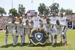 Botafogo: Talento, entrega e organização levam à vitória no "grupo da morte" e às oitavas.