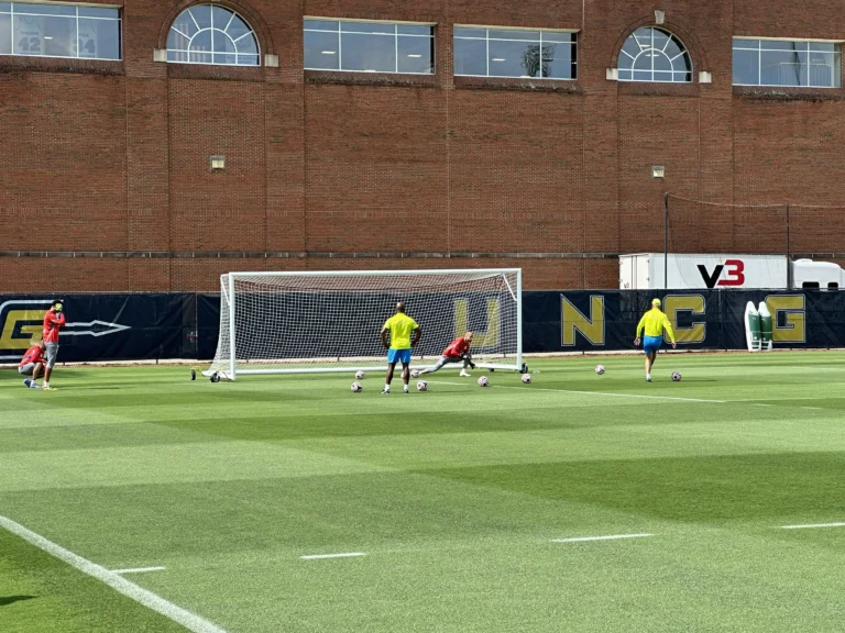 Palmeiras Adapta Treino em Gramado Seco e Calor para Jogo em Nova Jersey