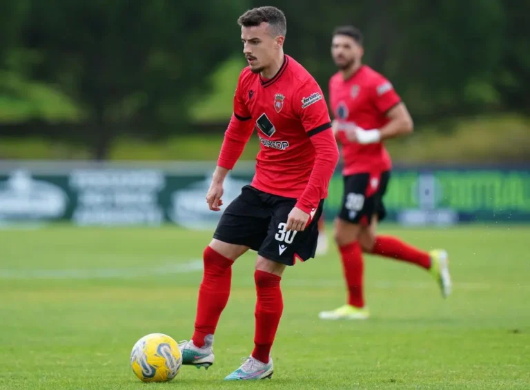André Silva, Irmão de Diogo Jota, Atua no Penafiel