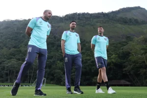 Davide se Adapta às Novas Demandas no Botafogo