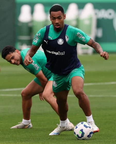 Allan: Palmeiras Obtém Efeito Suspensivo e Atacante Fica Liberado para Enfrentar o Cruzeiro Allan: Palmeiras Obtém Efeito Suspensivo e Atacante Fica Liberado para Enfrentar o Cruzeiro
