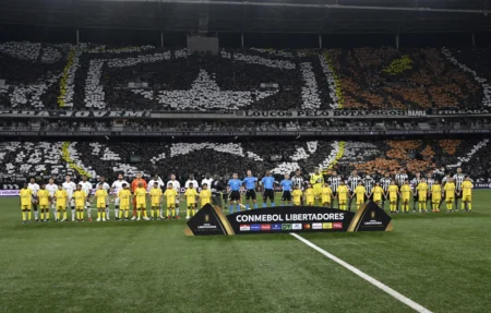 Botafogo lança promoção: ingressos para jogo contra o Flamengo à venda Botafogo lança promoção: ingressos para jogo contra o Flamengo à venda