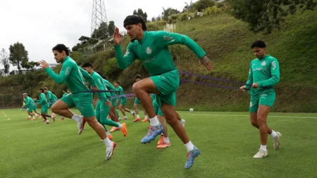 Como a altitude molda o estilo de jogo do Palmeiras Como a altitude molda o estilo de jogo do Palmeiras