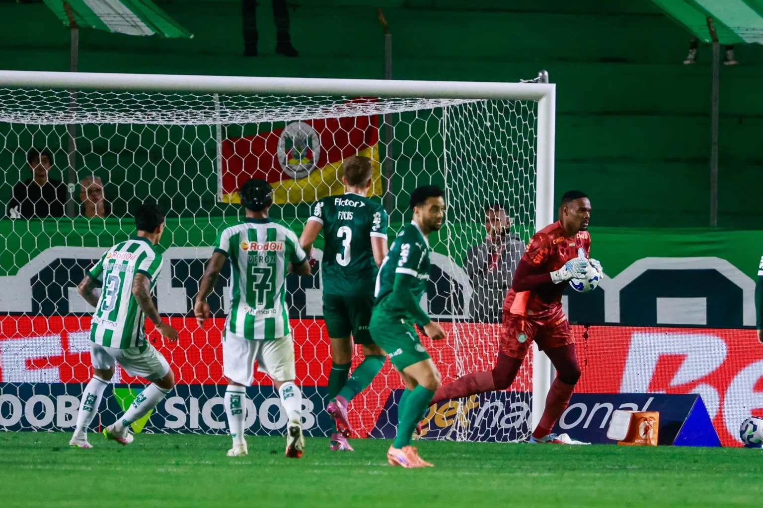 Carlos Miguel Elogia Elenco Pós-Vitória do Palmeiras e Afirma: "Foco para Ser Campeão"