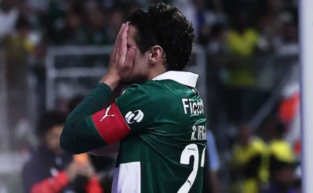 Queda do Palmeiras em novembro: Crise quase 50% mais severa que a do Botafogo no Brasileirão 2023 Queda do Palmeiras em novembro: Crise quase 50% mais severa que a do Botafogo no Brasileirão 2023