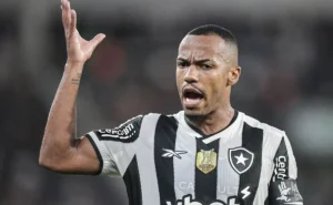 Botafogo: novo capitão em formação para 2026