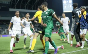 Palmeiras converte Copinha em ouro e amplia vantagem sobre rivais